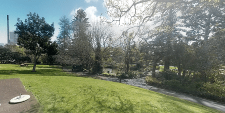 Some of the scenery on my daily walk in the Auckland Domain